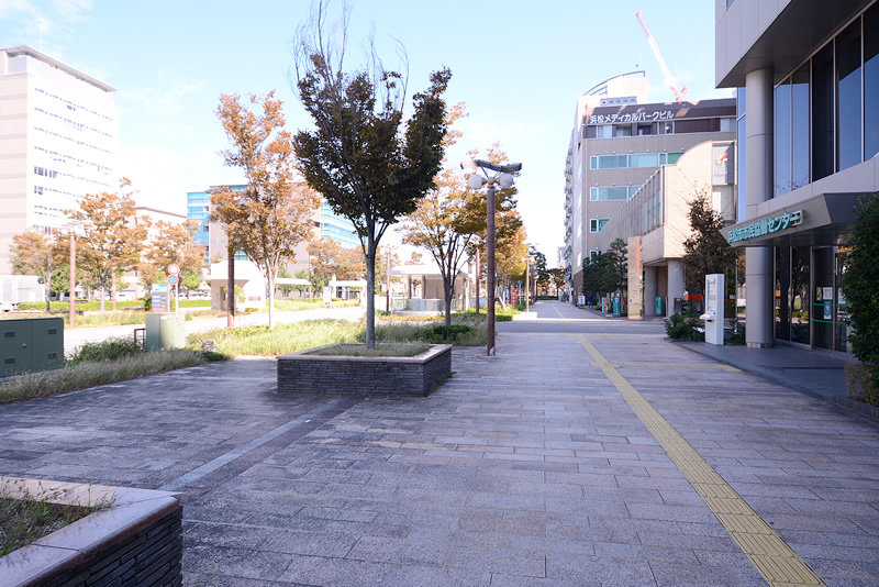 遠州病院駅から向って左側に県総合庁舎、奥に見える建物が当ビルになります。